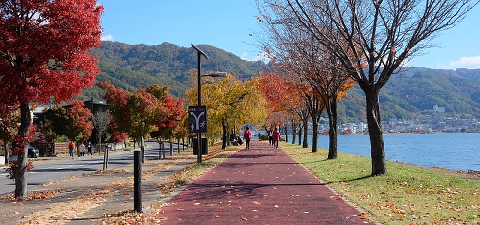 紅葉した諏訪湖畔の遊歩道